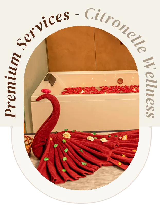 premium-services-th-1