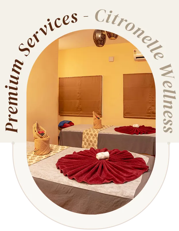premium-services-th-2
