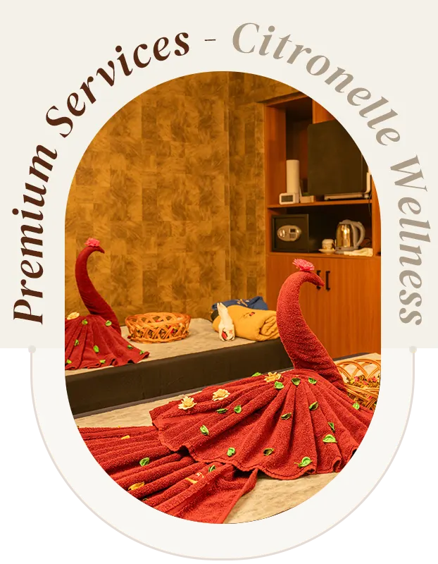 premium-services-th-3