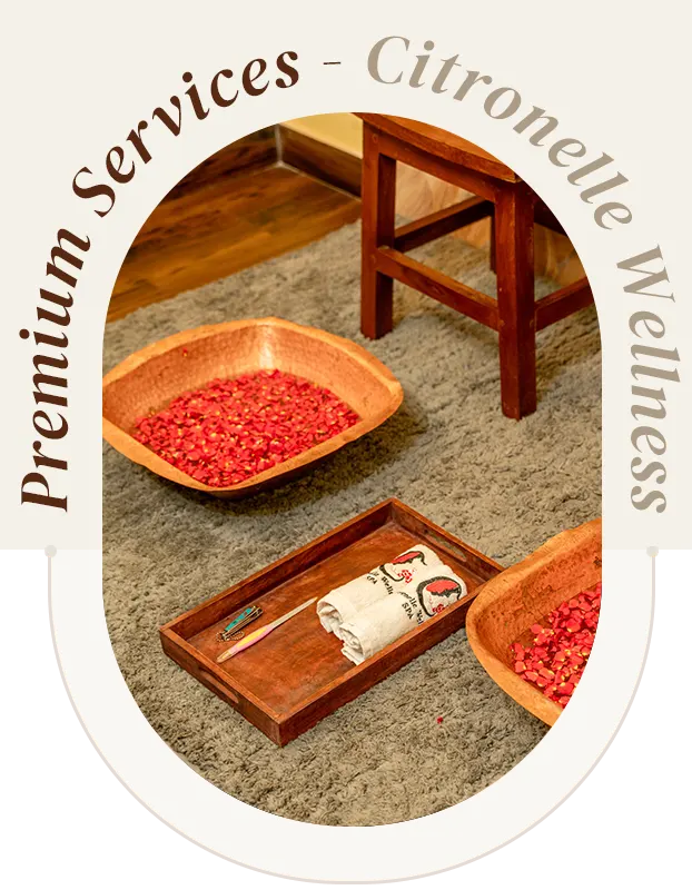 premium-services-th-4